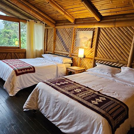 Golden Tree Mindo Eco-Lodge Extérieur photo