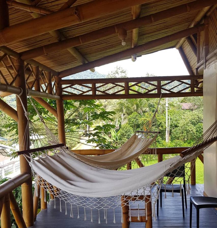 Golden Tree Mindo Eco-Lodge Extérieur photo