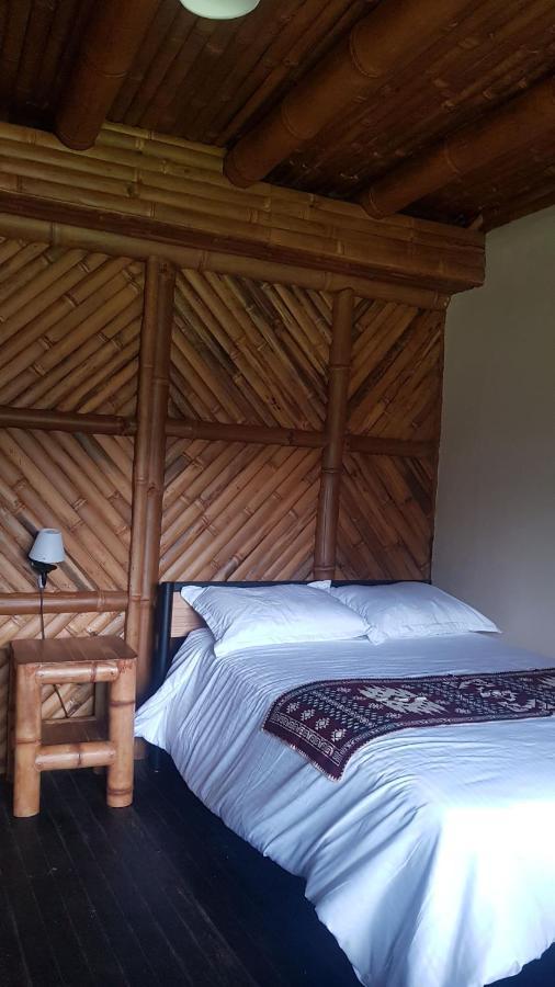 Golden Tree Mindo Eco-Lodge Extérieur photo