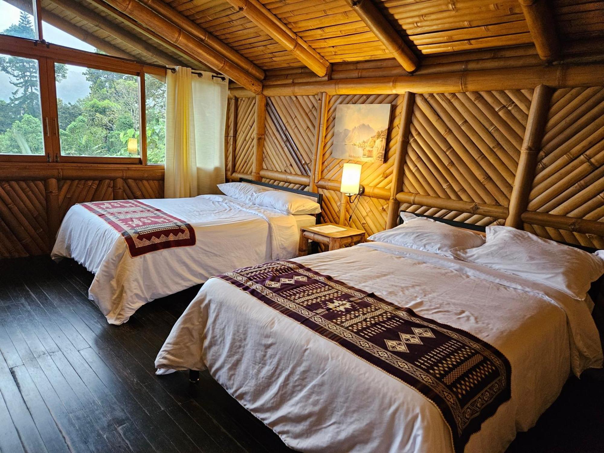 Golden Tree Mindo Eco-Lodge Extérieur photo