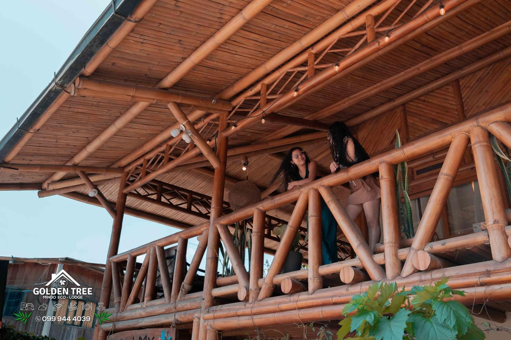 Golden Tree Mindo Eco-Lodge Extérieur photo